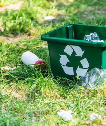 recycling box and plastic trash on green grass